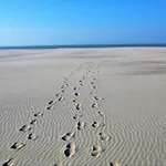 In Belgium Near Marina Lägenhet Nieuwpoort