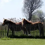 In Belgium Near Marina Nieuwpoort