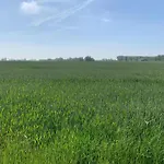 In Belgium Near Marina *
