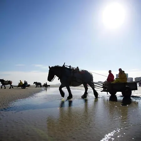 In Belgium Near Marina شقة