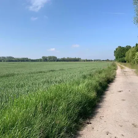 In Belgium Near Marina 아파트 니우포르트