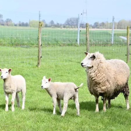 In Belgium Near Marina شقة نيوبورت