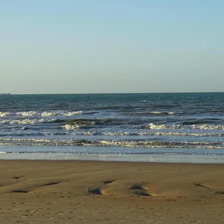 In Belgium Near Marina * Nieuwpoort