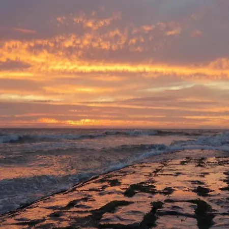 In Belgium Near Marina *