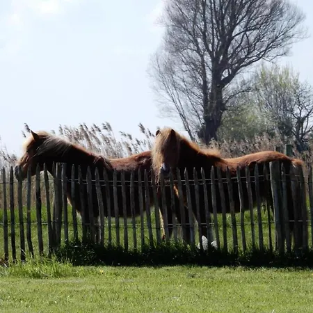 In Belgium Near Marina Nieuwpoort