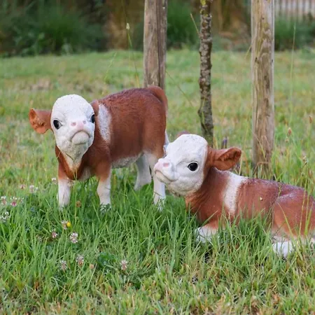 شقة In Belgium Near Marina *
