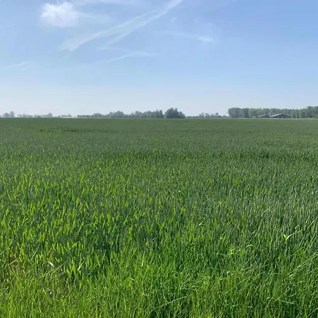 In Belgium Near Marina *