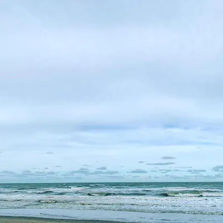 In Belgium Near Marina * Nieuwpoort
