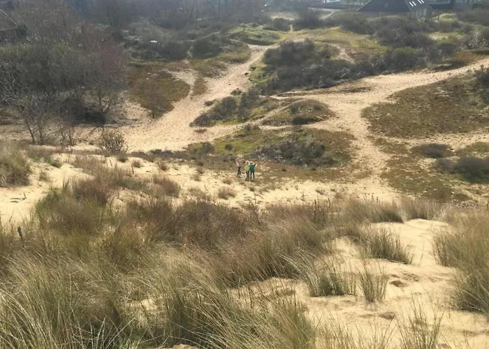 In Belgium Near Marina 아파트