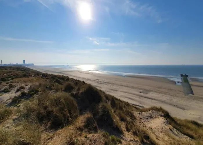 In Belgium Near Marina *