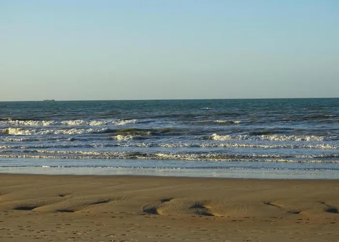 In Belgium Near Marina * 니우포르트