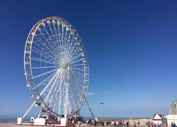 In Belgium Near Marina 아파트 *