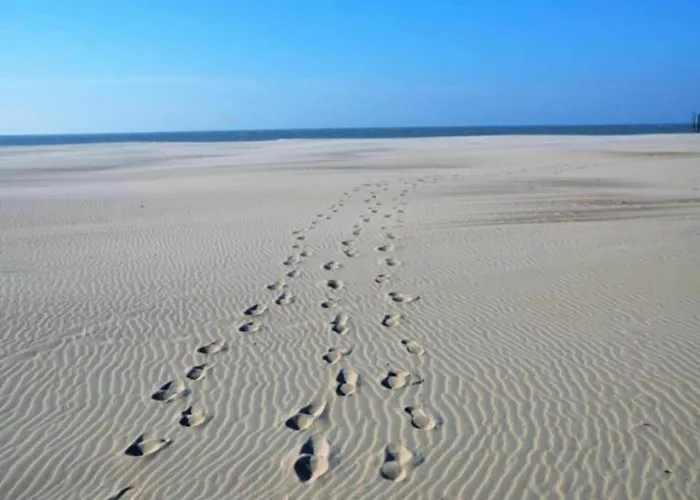 In Belgium Near Marina 아파트 니우포르트