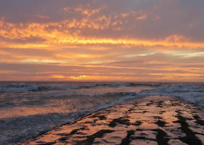 In Belgium Near Marina *