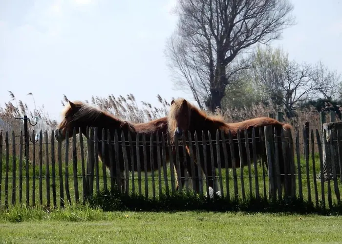 In Belgium Near Marina 니우포르트