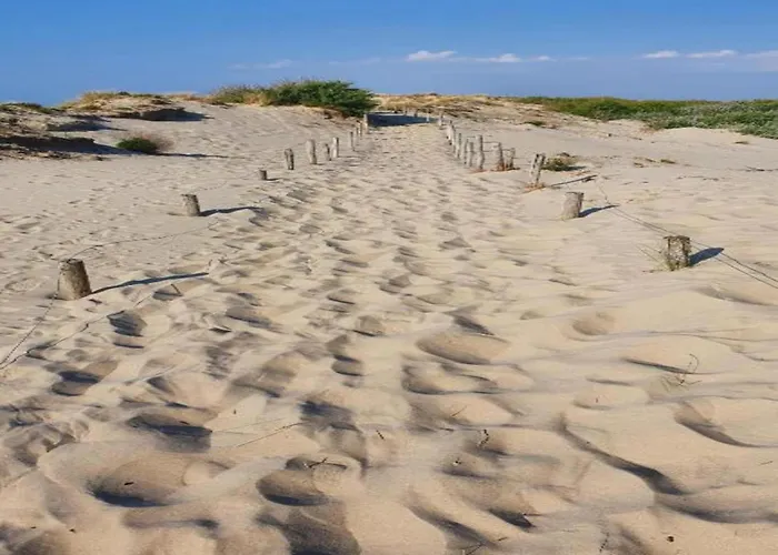 In Belgium Near Marina