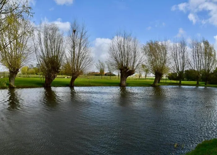 In Belgium Near Marina 아파트 *