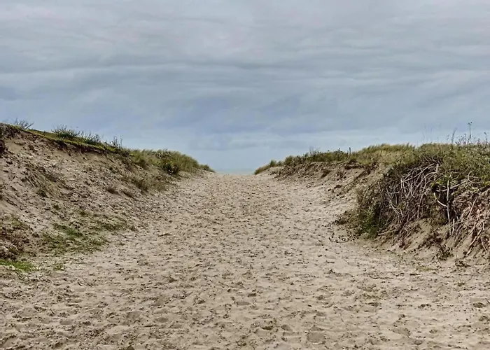 In Belgium Near Marina * 니우포르트